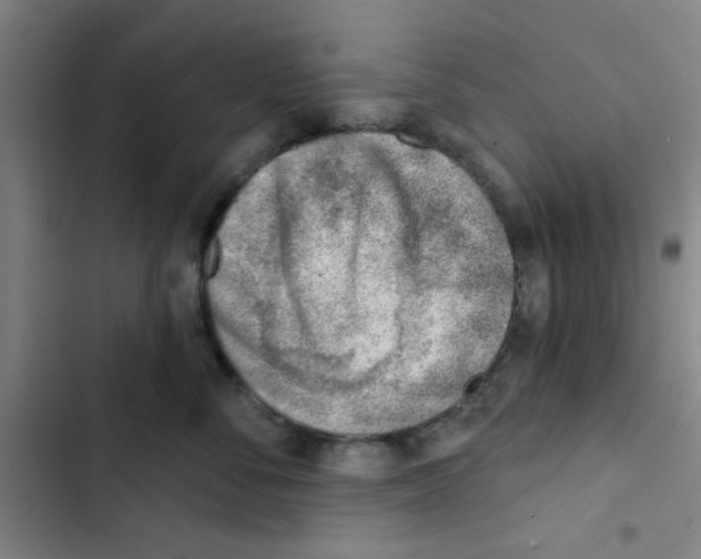 X0000102870716200809151235
