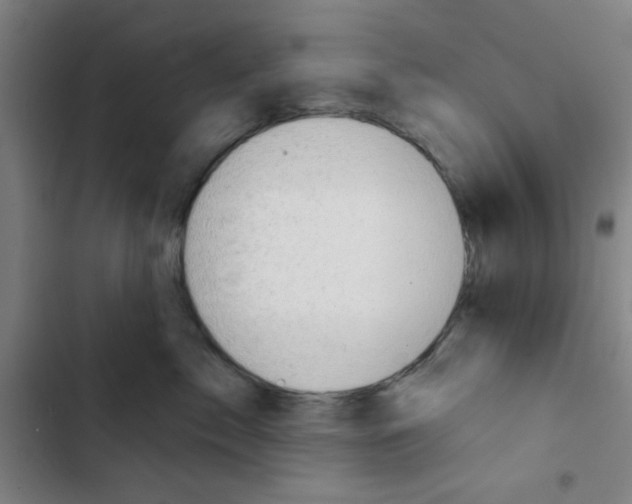 X0000102870717200809151235