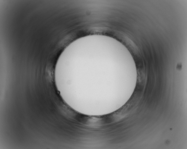 X0000102870718200809151235