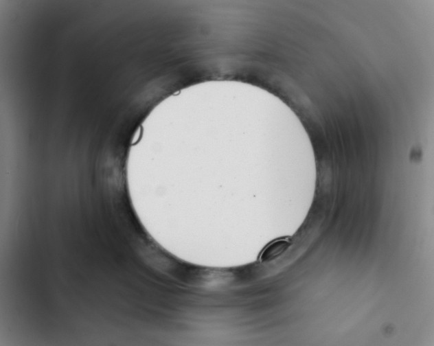 X0000102870719200809151235