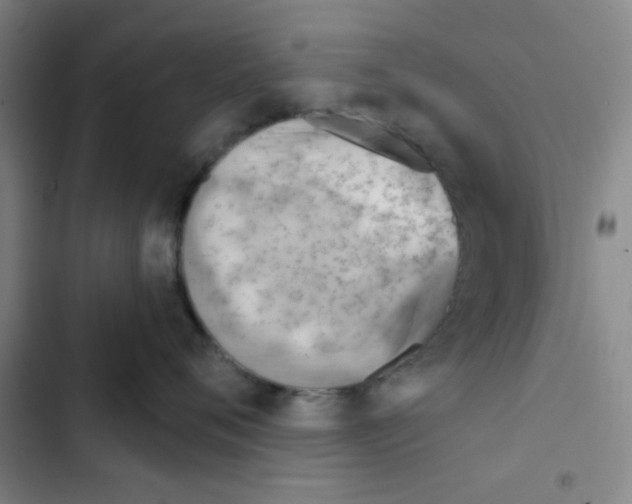 X0000102870720200809151235