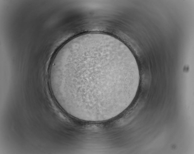 X0000102870721200809151234