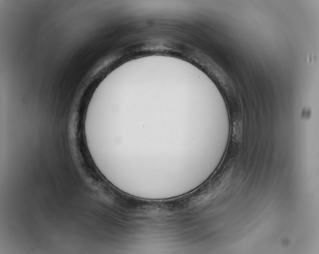 X0000102870724200809151234