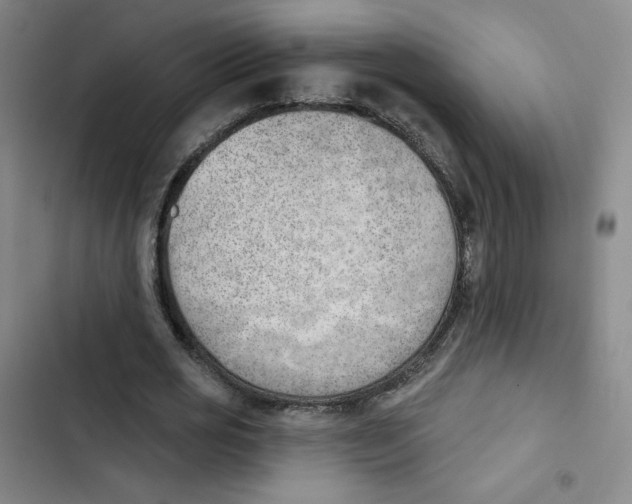 X0000102870725200809151234