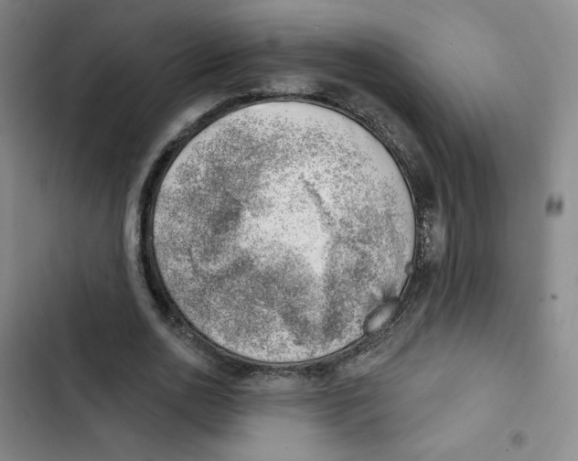 X0000102870726200809151234