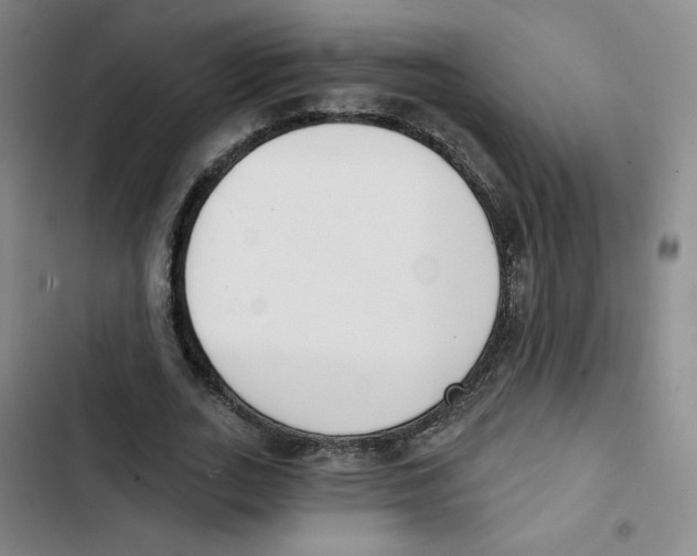 X0000102870727200809151234