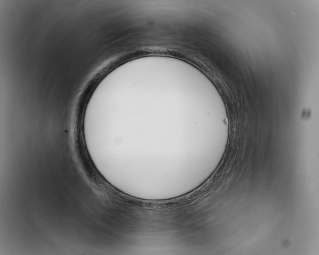 X0000102870728200809151234