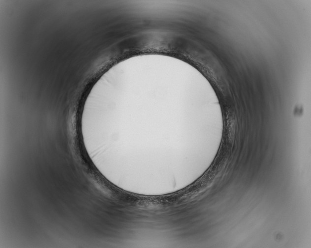 X0000102870729200809151234