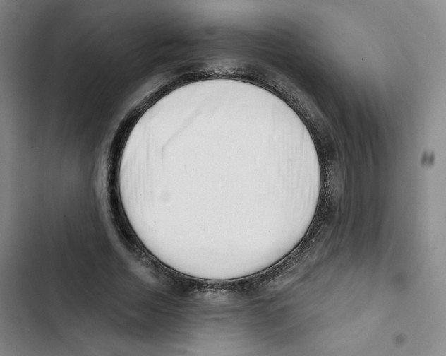 X0000102870730200809151234