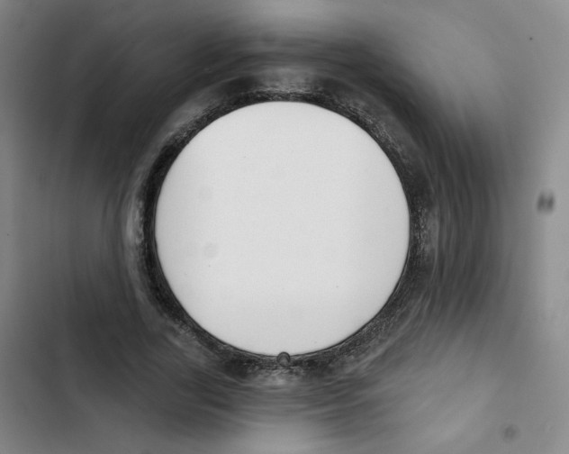 X0000102870731200809151234