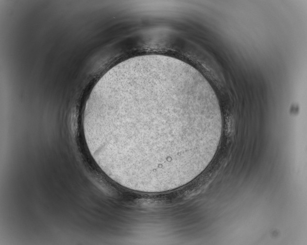 X0000102870733200809151234