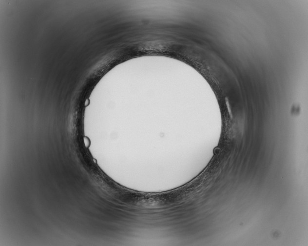 X0000102870735200809151234