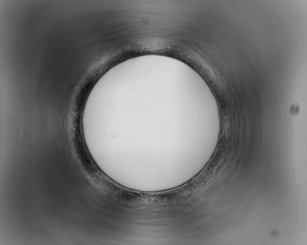 X0000102870736200809151234