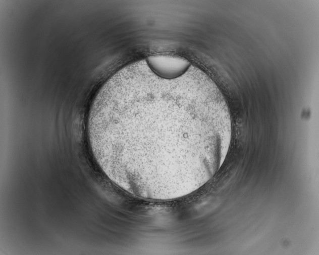 X0000102870741200809151234
