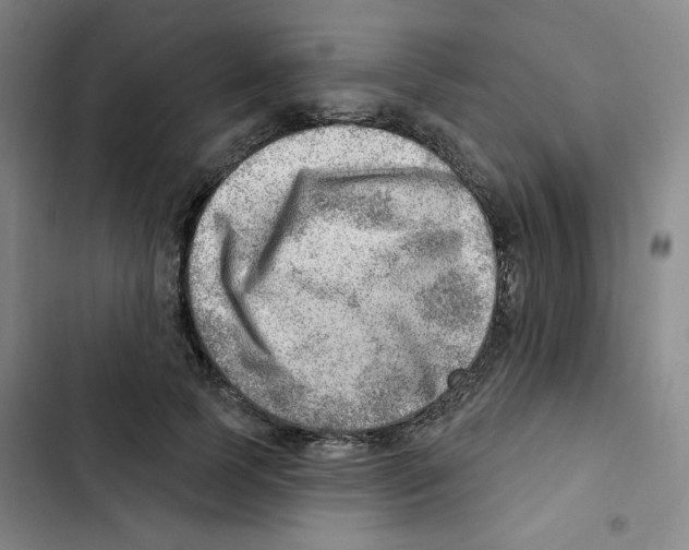 X0000102870745200809151234