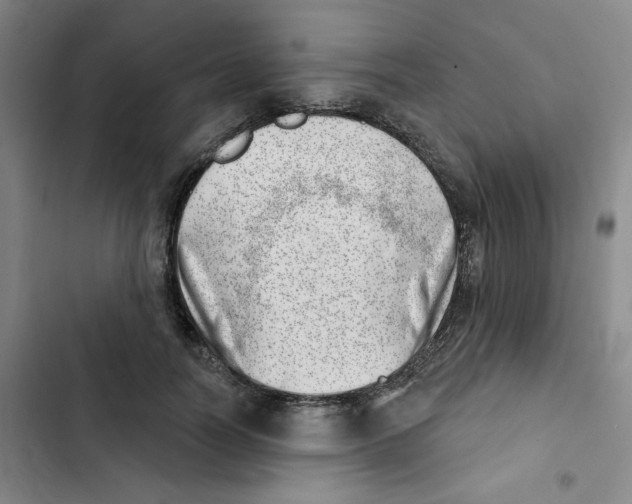 X0000102870746200809151234