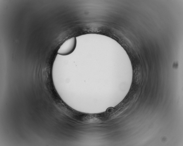 X0000102870747200809151234