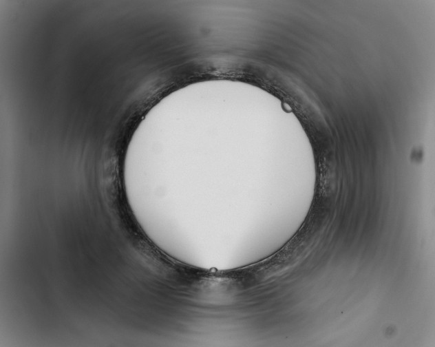 X0000102870748200809151234