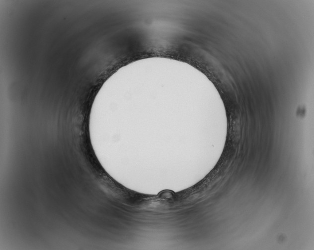 X0000102870750200809151235
