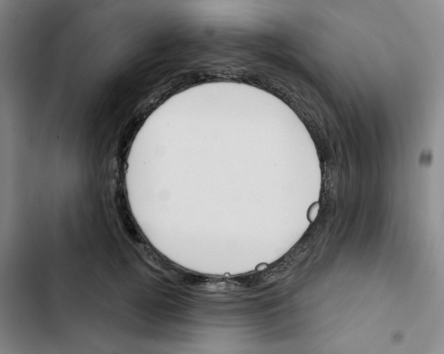 X0000102870752200809151235