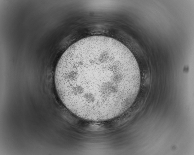 X0000102870753200809151235