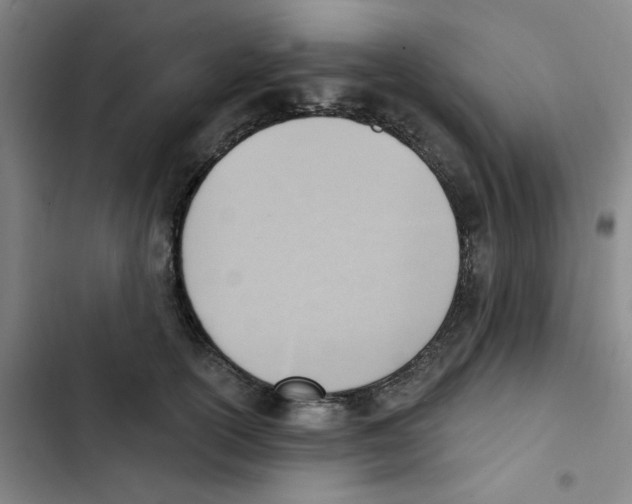 X0000102870754200809151235