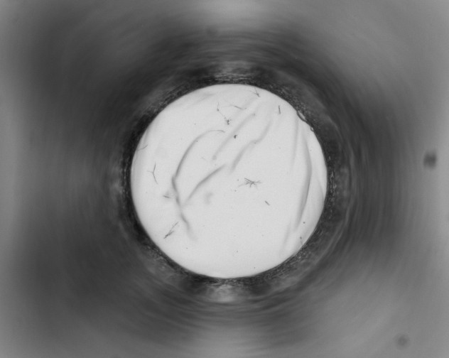 X0000102870755200809151235