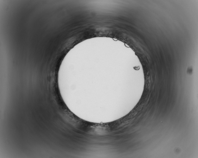 X0000102870756200809151235