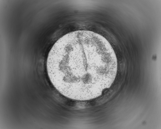 X0000102870757200809151235
