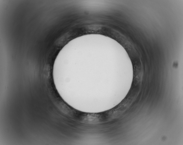 X0000102870758200809151235