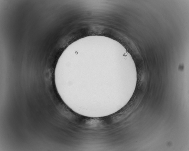 X0000102870759200809151235