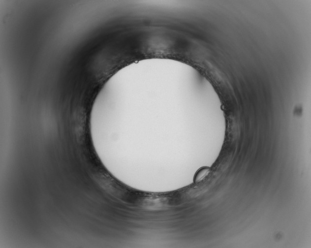 X0000102870760200809151235