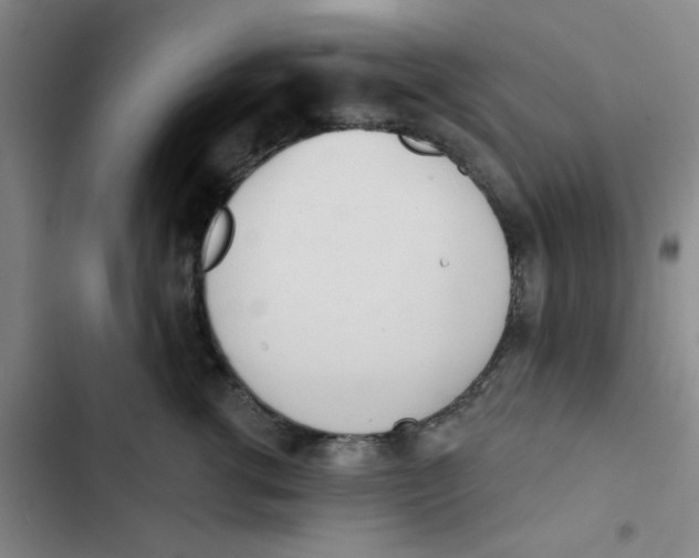 X0000102870762200809151235