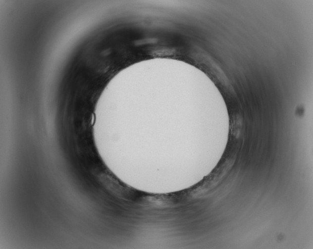 X0000102870763200809151235