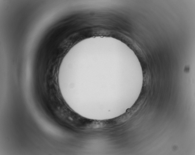 X0000102870764200809151235
