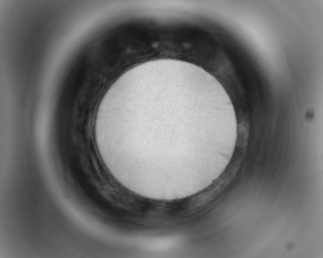X0000102870765200809151235