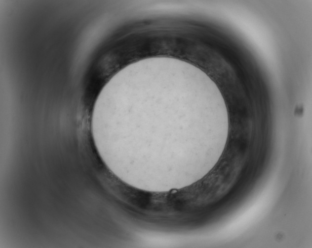X0000102870766200809151235