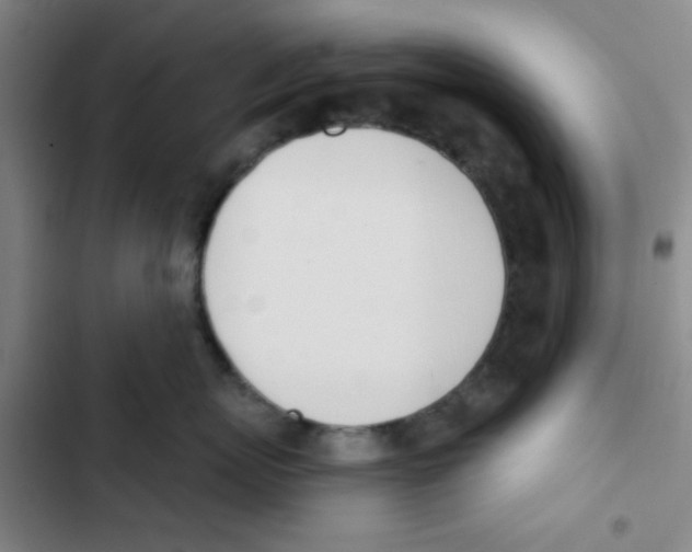 X0000102870767200809151235