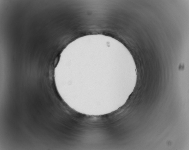 X0000102870768200809151235