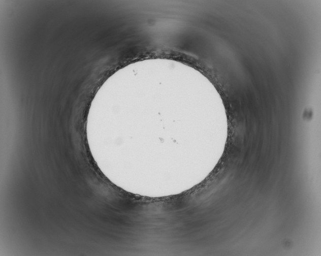 X0000102870769200809151234