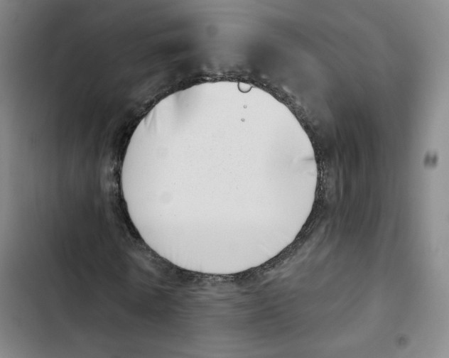 X0000102870770200809151234