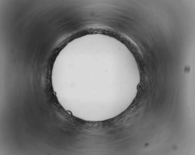 X0000102870775200809151234