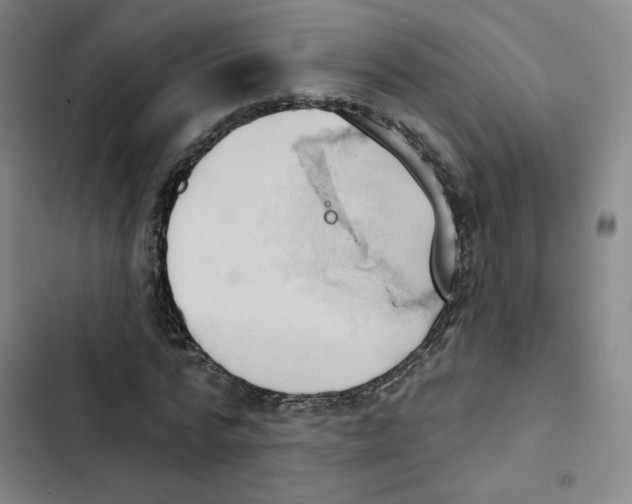 X0000102870776200809151234