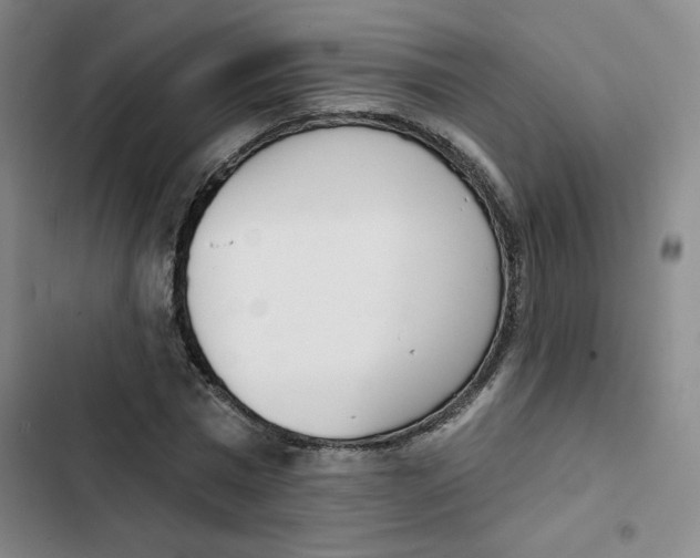X0000102870777200809151234