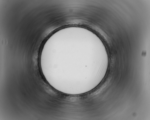 X0000102870778200809151234