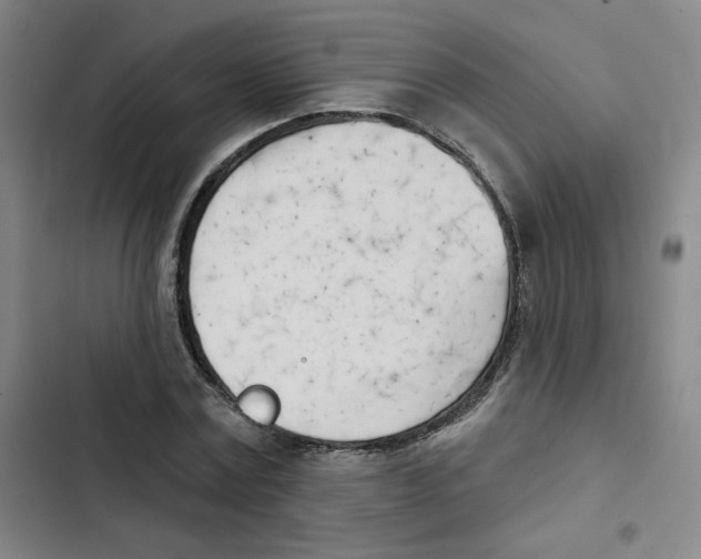 X0000102870779200809151234