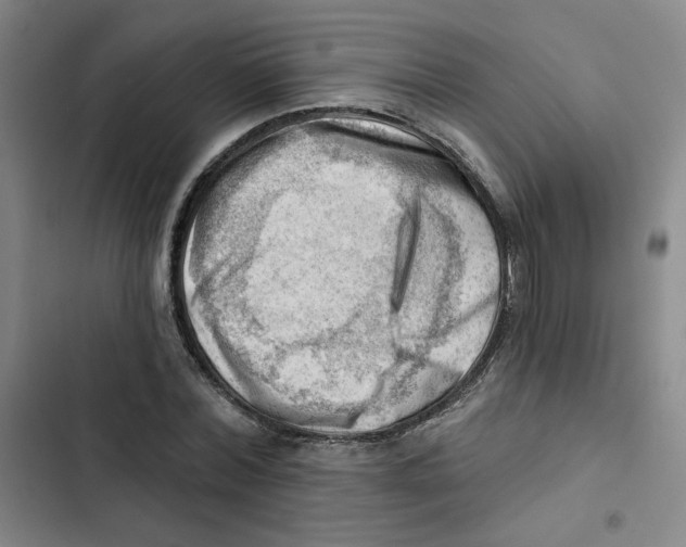 X0000102870780200809151234