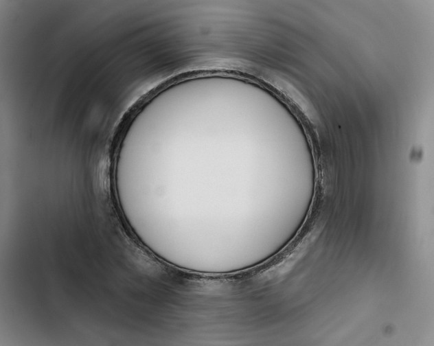 X0000102870781200809151234