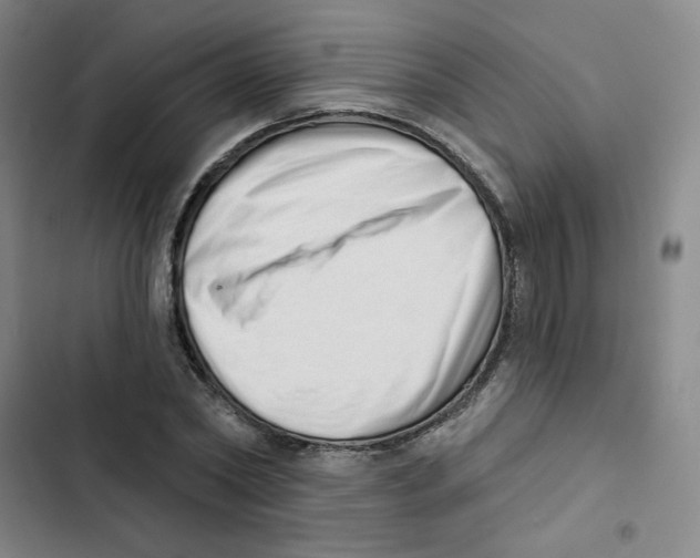 X0000102870782200809151234