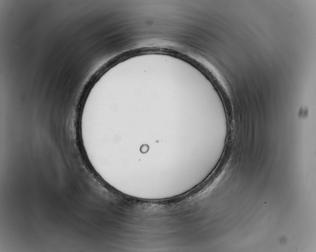 X0000102870783200809151234